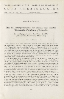 &Uuml;ber das Entotympanicum der Canidae und Ursidae (Mammalia, Carnivora, Fissipedia); Os entotympanicum u Canidae i Ursidae (Mammalia, Carnivora, Fissipedia)