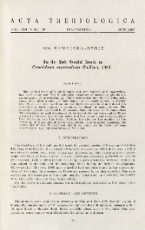 On the male genital tracts in Crocidura suaveolens (Pallas, 1811)