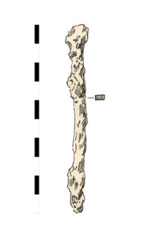 nail, iron