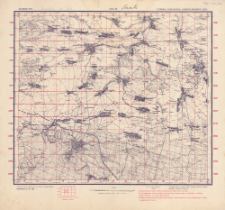 XXX - 22 : volynsk. gub. : ostrožsk., iz&acirc;slavl'sk. i novogradvolynsk. uězd.