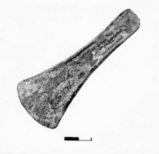 flat axe (Włodzienin)