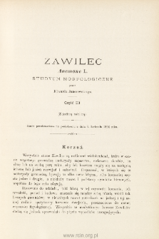 Zawilec Anemone L. : studyum morfologiczne. Cz. III