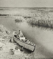 Kazimierz Petrusewicz - field research
