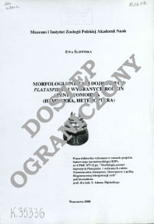 Morfologia postaci dojrzałych Plataspidae i wybranych rodzin Pentatomoidea (Hemiptera, Heteroptera)