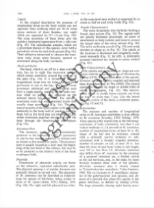Hypsoperine graminis (Nematoda: Heteroderidae), a new genus and species of plant-parasitic nematode