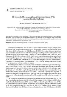 First record of Eresus sandaliatus (Martini et Goeze, 1778) (Araneae: Eresidae) in Poland