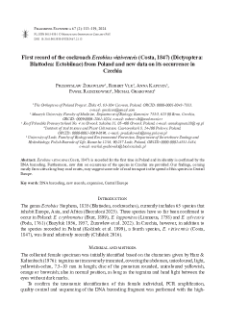 First record of the cockroach Ectobius vittiventris (Costa, 1847) (Dictyoptera:Blattodea: Ectobiinae) from Poland and new data on its occurrence in Czechia