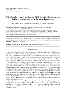 Cylindroiulus vulnerarius (Berlese, 1888) (Myriapoda: Diplopoda:Julida), a new addition to the Polish millipede fauna