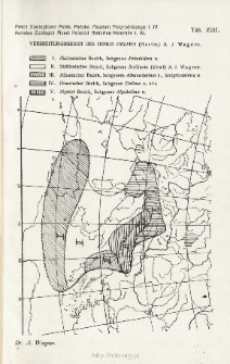 Prace Zoologiczne Polskiego Państwowego Muzeum Przyrodniczego. Tablica XVII