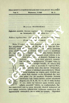 Ogłodek szorstki Scolytus rugulosus Ratz. (Coleoptera, Ipidae) na kruszynie (Frangula alnus L.) = Scolytus rugulosus Ratz. (Coleoptera, Ipidae) on Frangula alnus L.