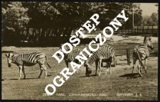 Zoo Johannesburg
