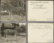 Zoo Ł&oacute;dź