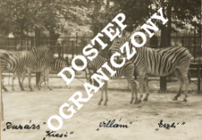 Zoo Budapest