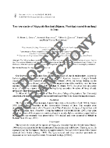 Two new species of Megaselia Rondani (Diptera, Phoridae) reared from fungi in Iran
