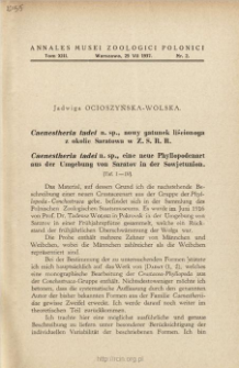 Caenestheria tadei n. sp., eine neue Phyllopodenart aus der Umgebung von Saratov in der Sowjetunion