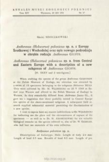 Anthrenus (Helocerus) polonicus sp. n. from Central and Eastern Europe with a description of a new subgenus of Anthrenus Geoffr.