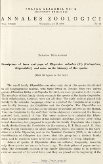 Descriptions of larva and pupa of Rhysodes sulcatus (F.) (Coleoptera, Rhysodidae) and notes on the bionomy of this species