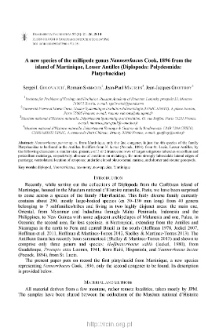 A new species of the millipede genus Nannorrhacus Cook, 1896 from the island of Martinique, Lesser Antilles (Diplopoda: Polydesmida: Platyrhacidae)