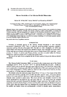 Shrews Soricidae of the Silesian Beskid Mountains