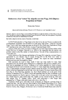 Rediscovery of an "extinct" fly Adapsilia coarctata Waga, 1842 (Diptera: Pyrgotidae) in Poland