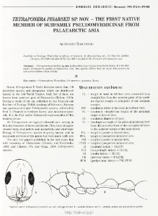 Tetraponera Pisarskii sp. nov. - the first native member of subfamily Pseudomyrmicinae from palearctic Asia
