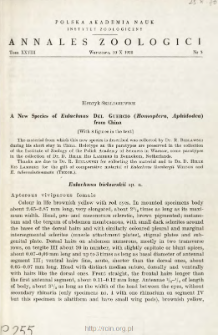 A new species of Eulachnus DEL GUERCIO (Homoptera, Aphidodea) from China