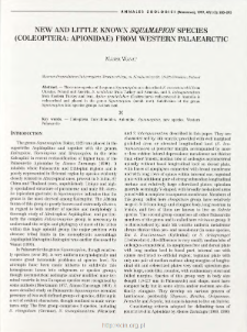 New and little known Squamapion species (Coleoptera: Apionidae) from Western Palaearctic