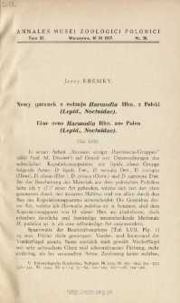 Eine neue Harmodia Hbn. aus Polen (Lepid., Noctuidae) = Nowy gatunek z rodzaju Harmodia Hbn. z Polski (Lepid., Noctuidae)