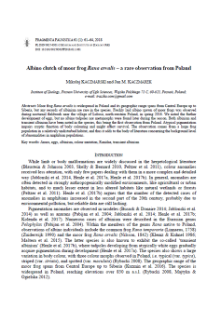 Albino clutch of moor frog Rana arvalis &ndash; a rare observation from Poland