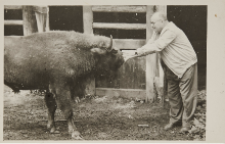 Photo from A. Dehnel's collection