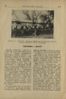 Łakomstwo u pszcz&oacute;ł